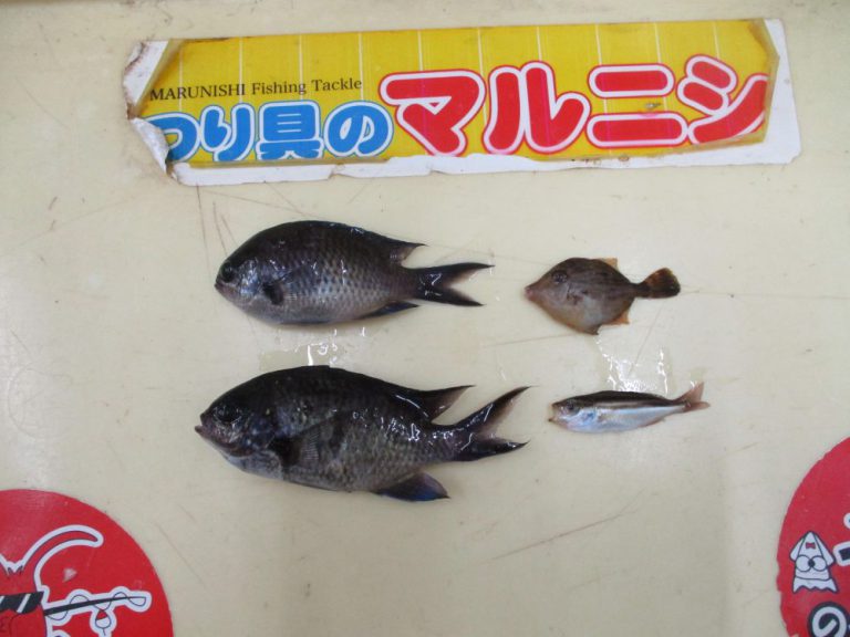 釣果