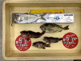 【おたのしみブック】紀ノ川河口で5魚種ゲット！
