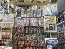【バイパス店】ガシラ、根魚コーナー