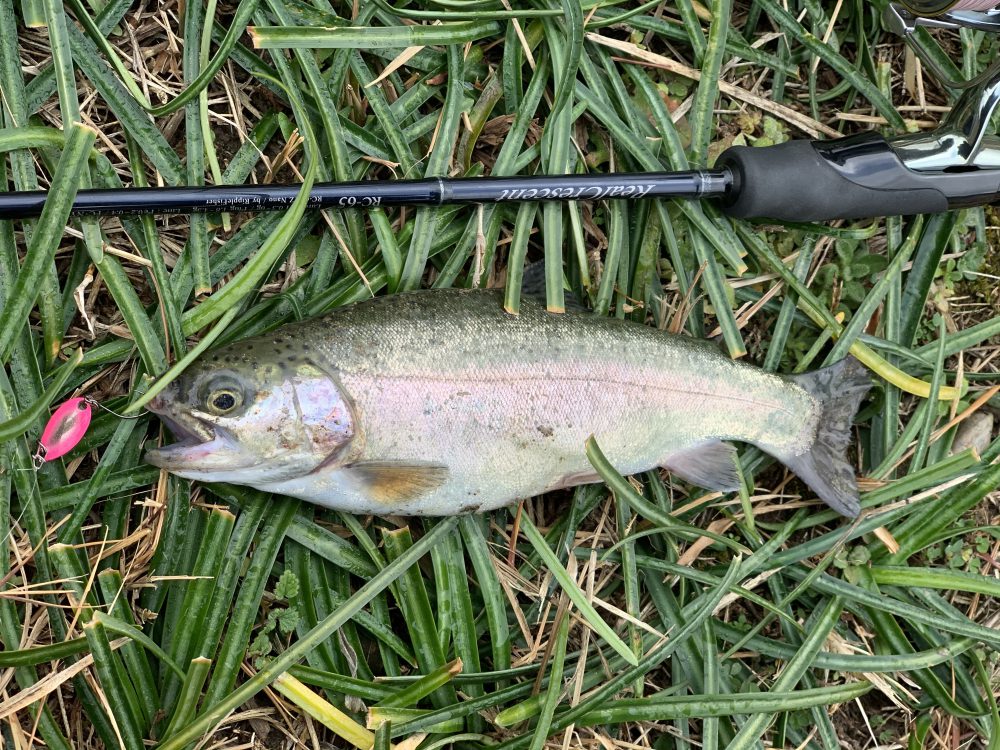 芥川マス釣場でお手軽トラウトフィッシング！ - 株式会社つり具のマルニシ