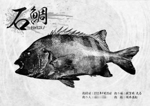 【デジタル魚拓】制作事例 CASE.8 “梶賀磯の石鯛”