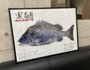 【デジタル魚拓】制作事例 CASE.9 “紀ノ川のチヌ（黒鯛）