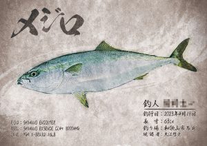 【デジタル魚拓】制作事例 CASE.12 “西浜のメジロ