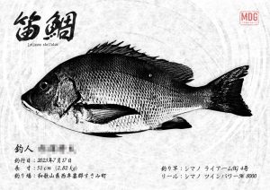【デジタル魚拓】制作事例 No.018“すさみの笛鯛”