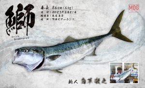 【デジタル魚拓】制作事例 No.022“下津の鰤”
