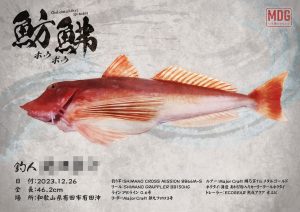 【デジタル魚拓】制作事例 No.027“有田のホウボウ”