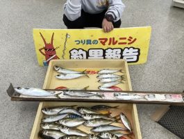 【おさかなチャレンジ】 雑賀崎サビキ釣果！