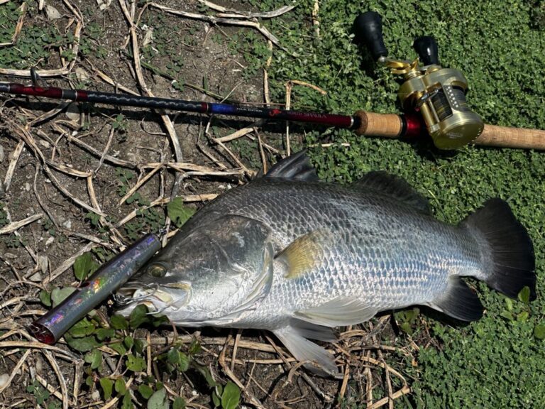 釣果