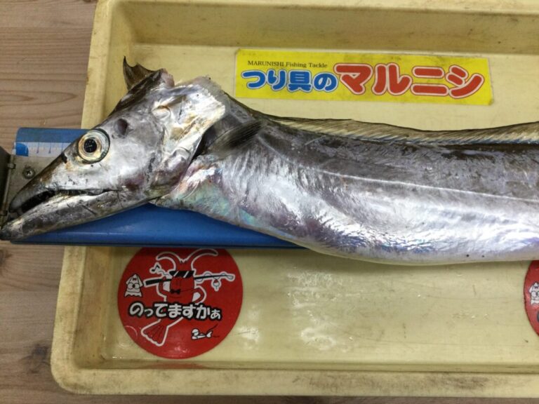 釣果