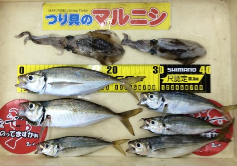 釣果