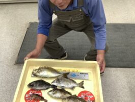 田ノ浦　ヌカ切り釣果！