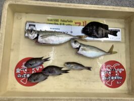 サビキ釣り・飛ばしサビキ！