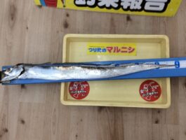 【太刀魚ダービー】水軒にてテンヤ