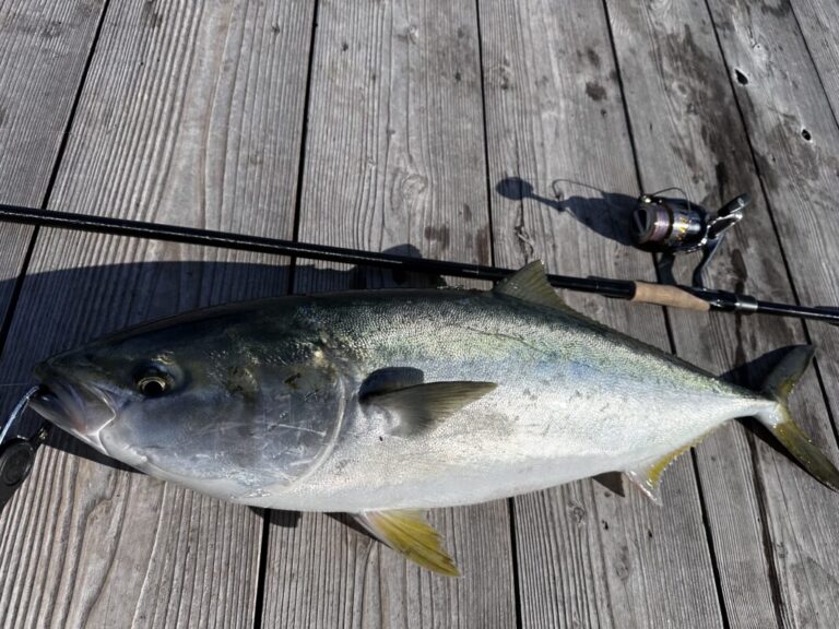 釣果