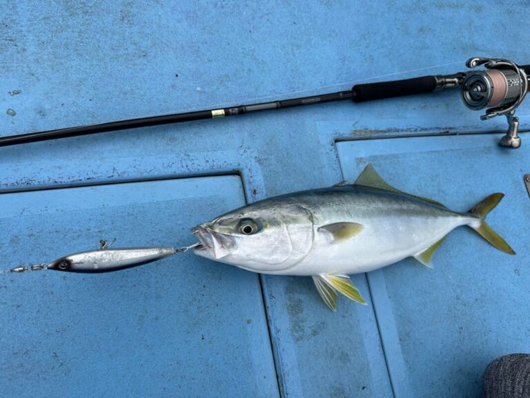 釣果