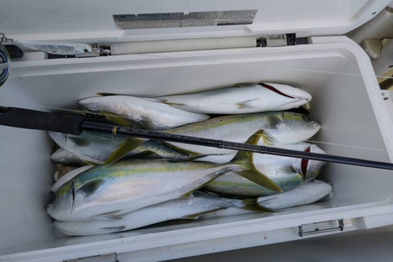 釣果