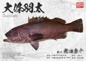 【デジタル魚拓】制作事例 No.047“オオスジハタ”