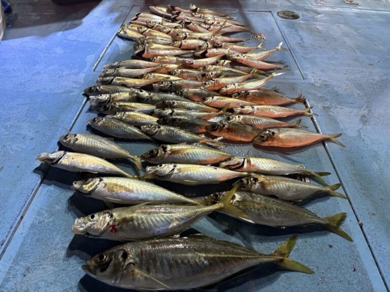 釣果