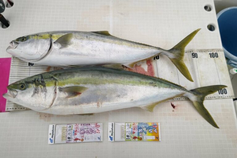 釣果