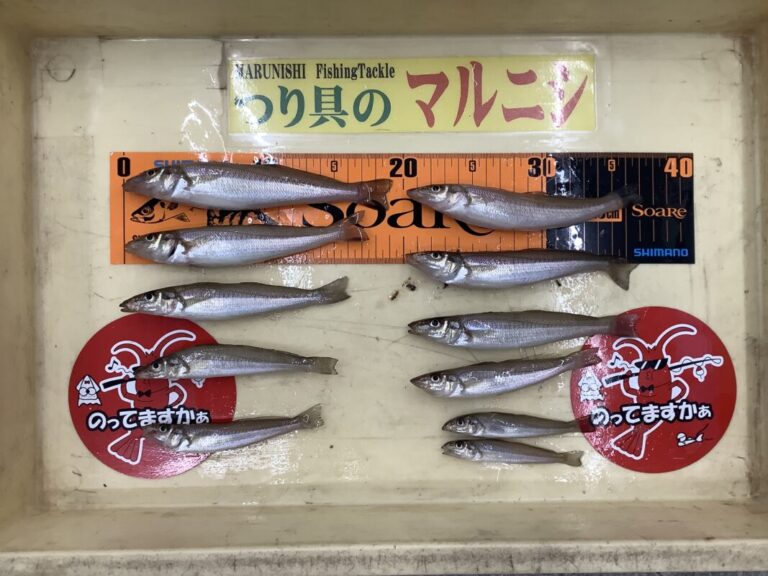 釣果