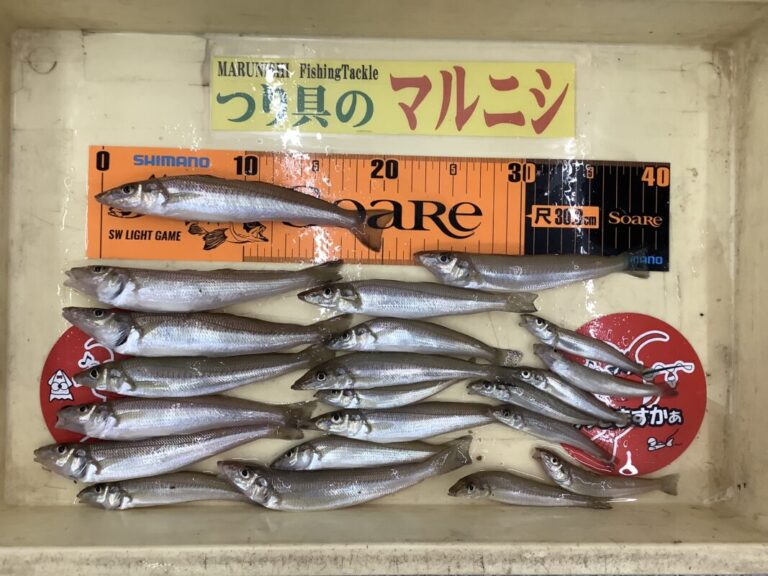 釣果