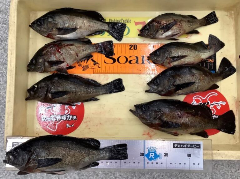釣果