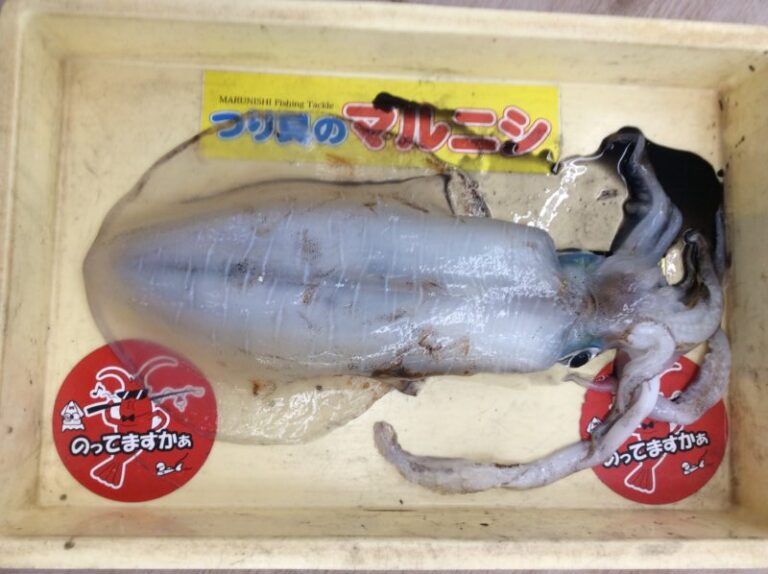 釣果