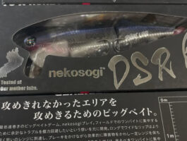 少量入荷!!