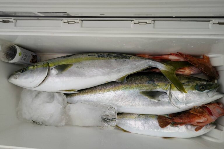 釣果