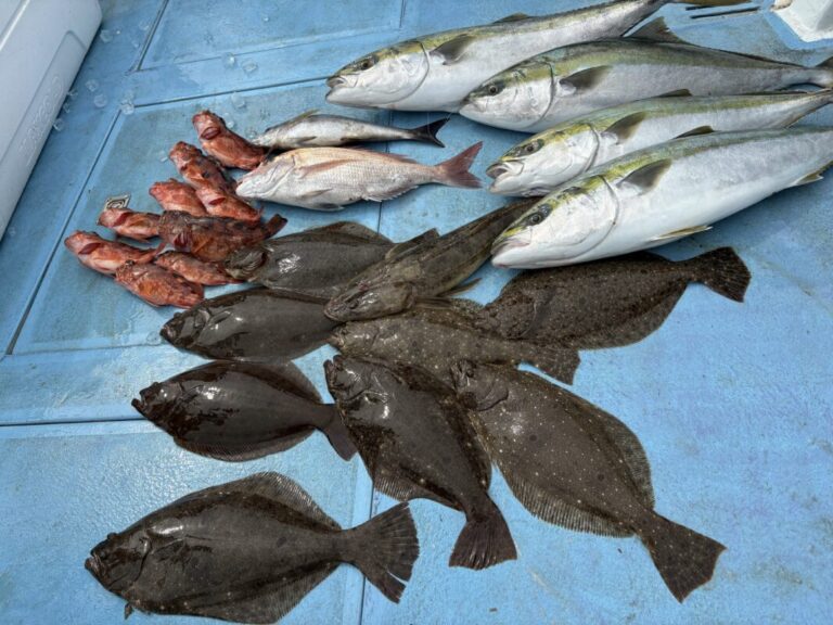 釣果