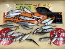 田ノ浦にて！