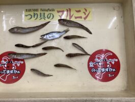 紀ノ川河口(右岸)南海鉄橋付近にて