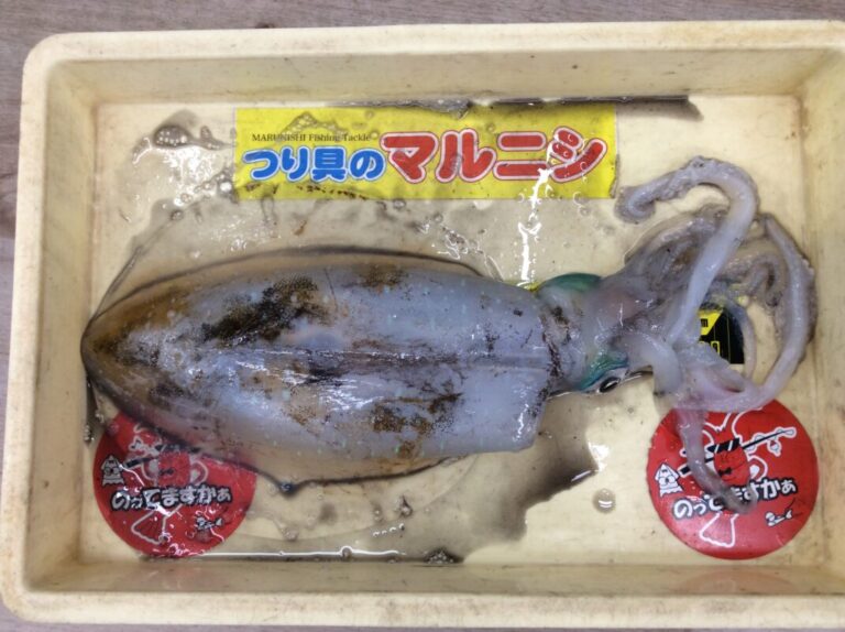 釣果
