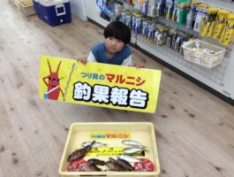 小島にて