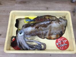 中紀 ヤエン釣り 釣果
