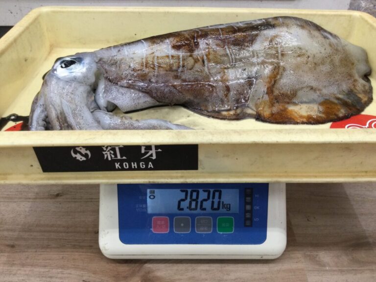 釣果