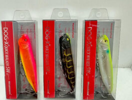 これからのチヌトップに！