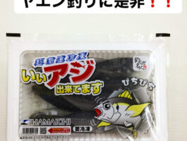 ヤエン釣りにオススメ