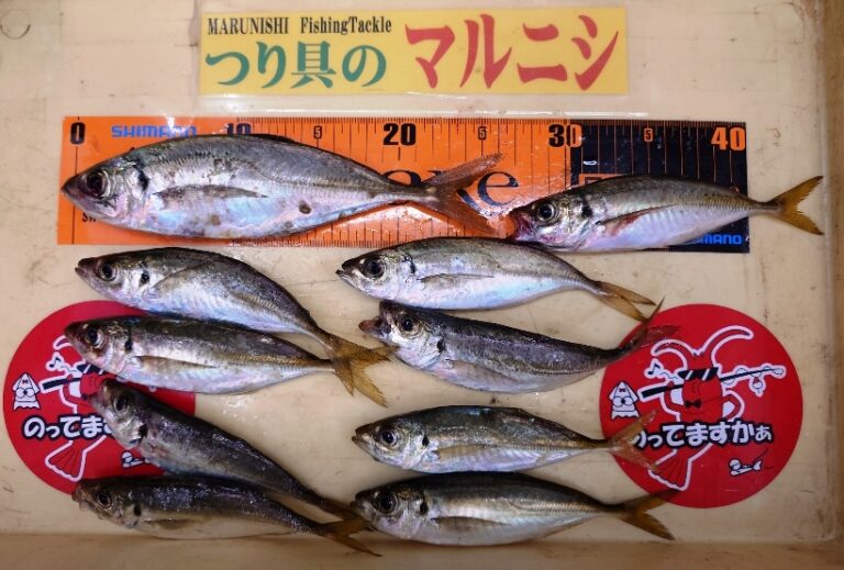 釣果