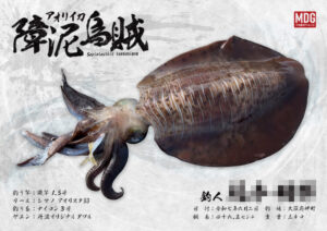 【デジタル魚拓】制作事例 No.056“アオリイカ”