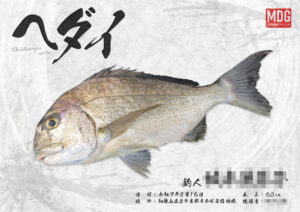 【デジタル魚拓】制作事例 No.053“ヘダイ”