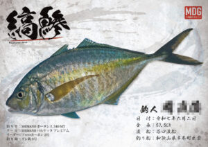【デジタル魚拓】制作事例 No.055“シマアジ”