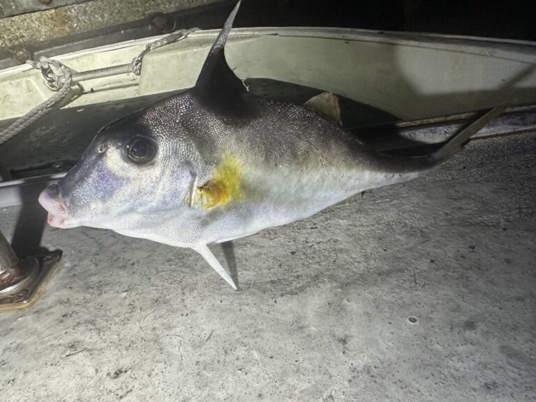 釣果
