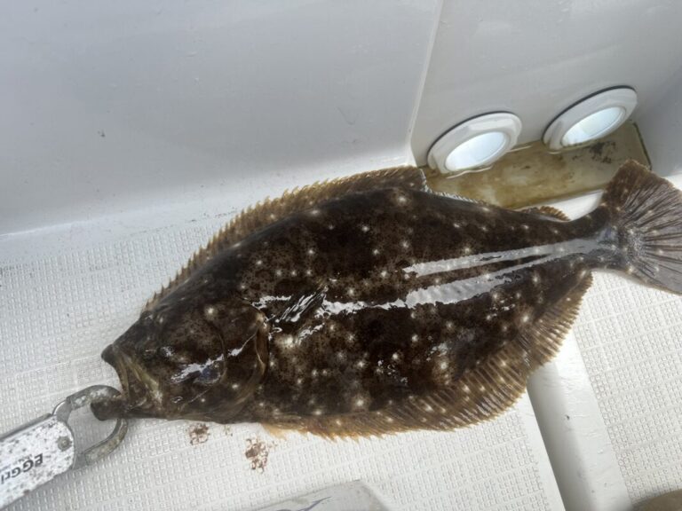 釣果