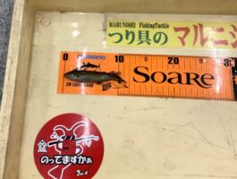 【おさかなチャレンジ】田ノ浦にて！
