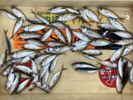 田ノ浦にて！