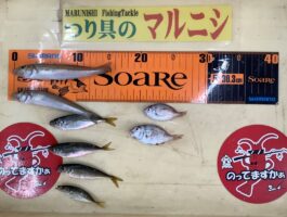 雑賀崎にて！