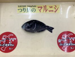 田ノ浦にて！