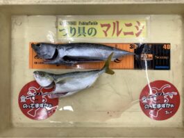 田ノ浦にて！