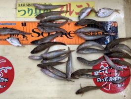 紀ノ川河口にて！